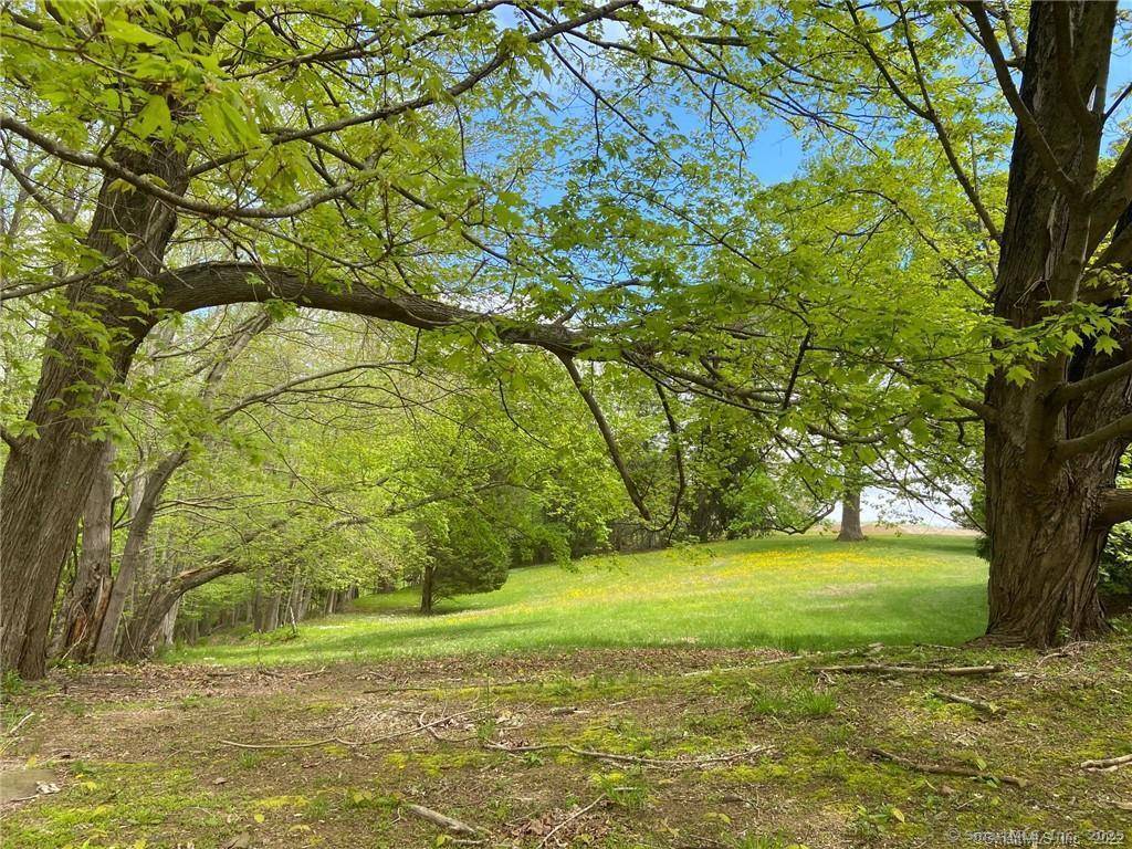 Incredible opportunity to create one large estate or build several homes with some of the best views in Connecticut.