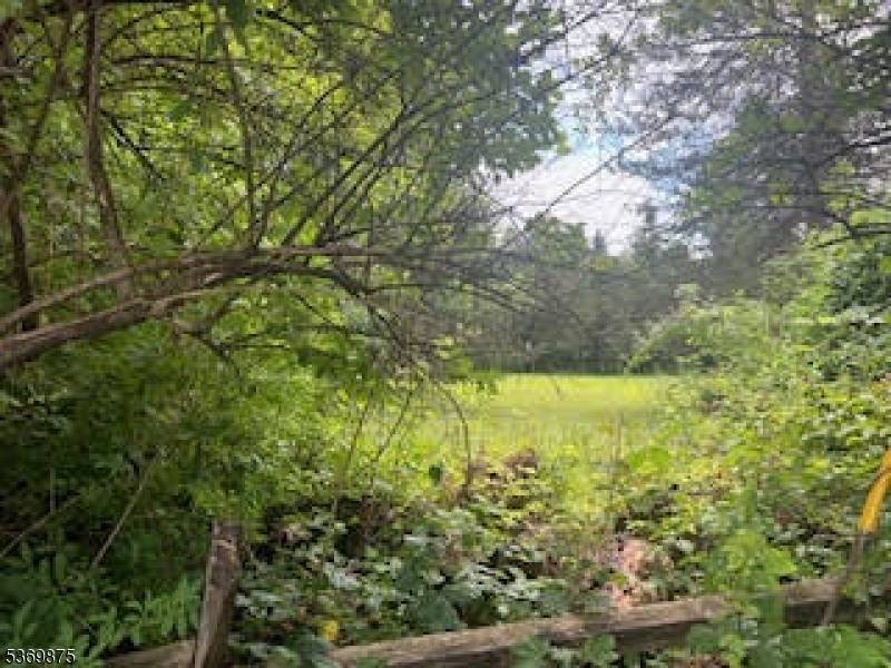 Build Your Dream Home in Beautiful Mendham Township !