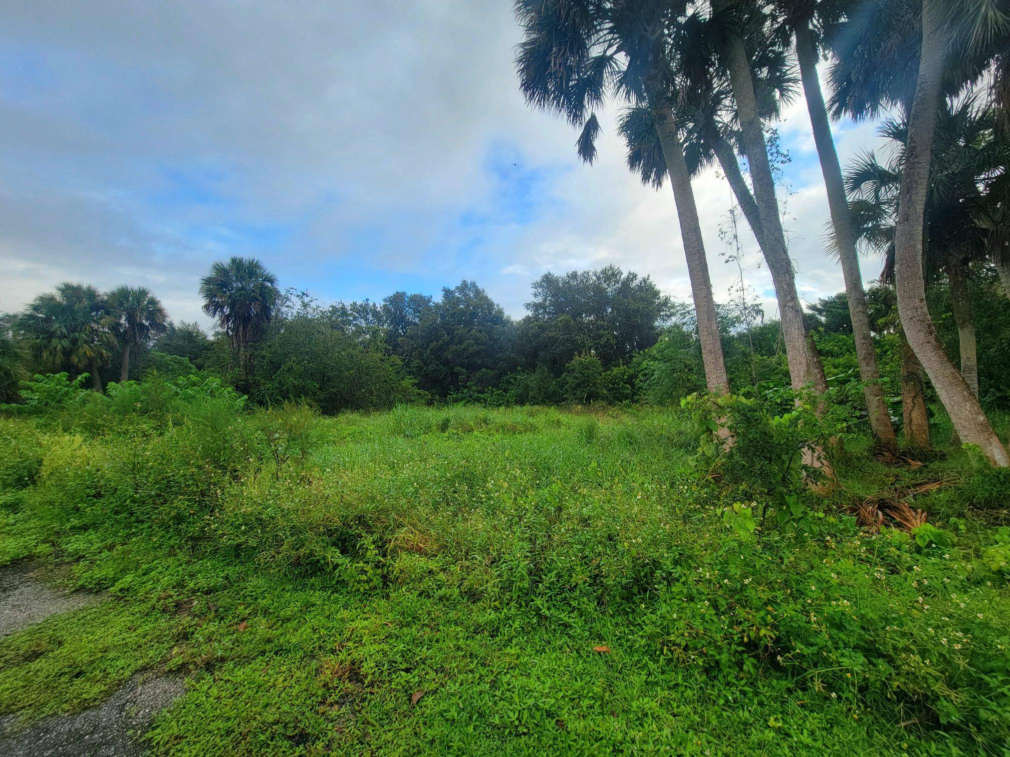 Looking for a great place to build a home this 0.