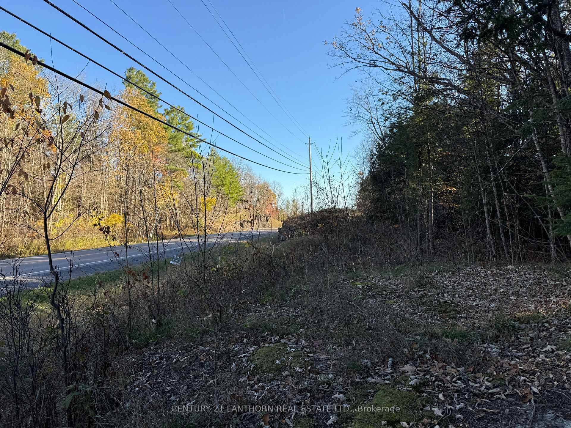 Anybody looking for acreage ?