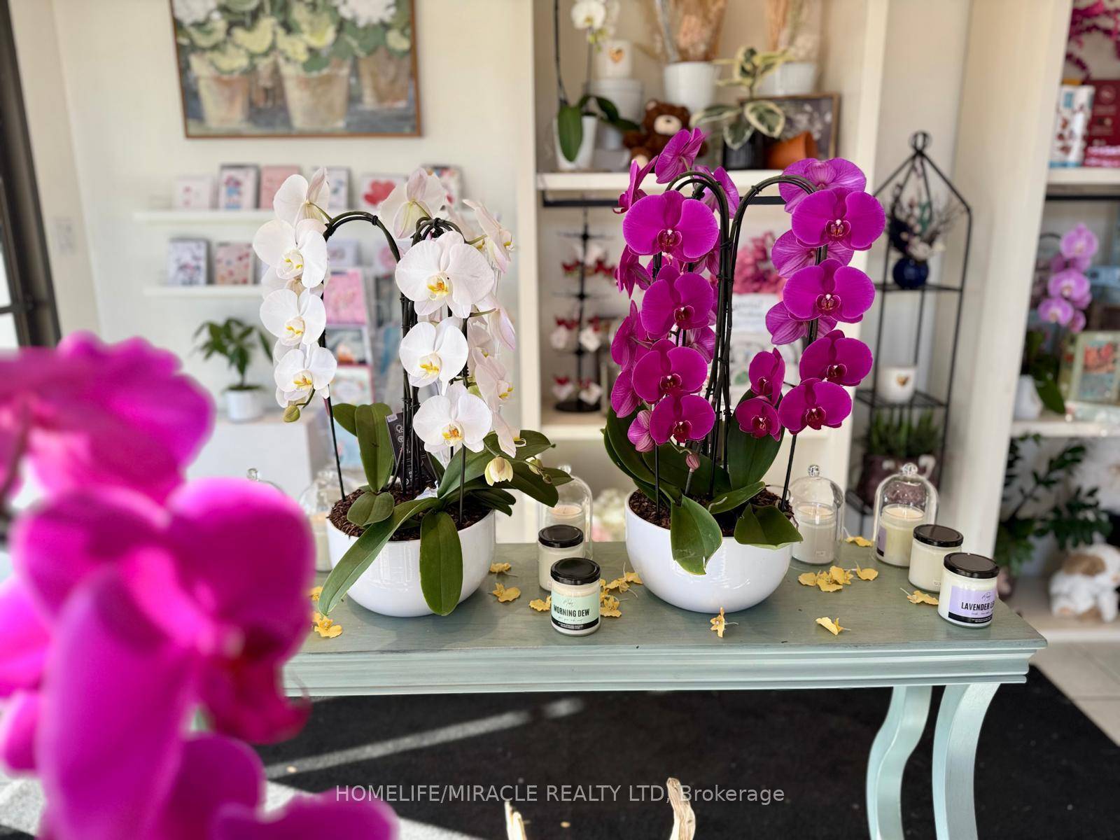 A rare opportunity to own a well established and highly reputable flower boutique in the heart of Brampton is now available.