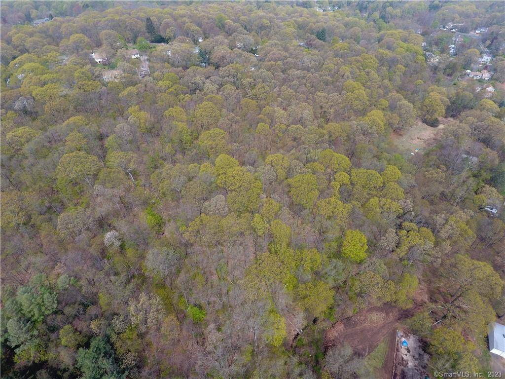 OPTIONS APLENTY. The opportunity to create your own private estate on a beautiful wooded lot in a desirable location.