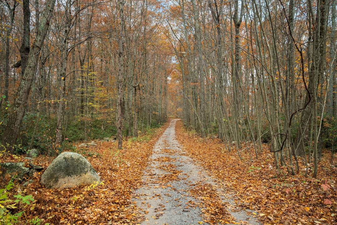 This beautiful sprawling custom colonial is set on 9 acres of land at the end of a winding long driveway and surrounded by open area.