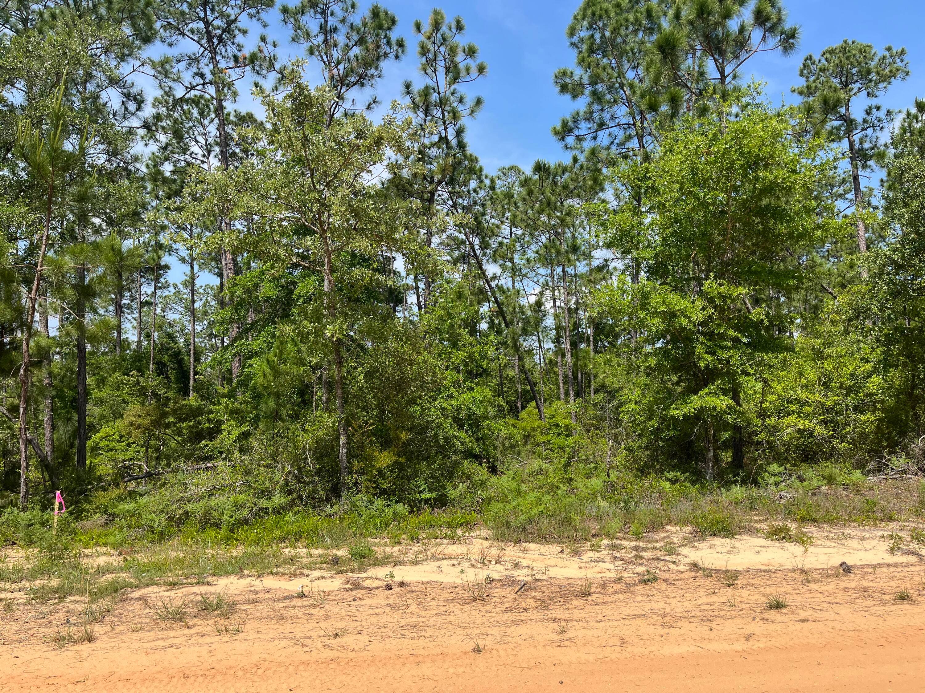 FINANCING AVAILABLE Don't miss out on this wooded 1.