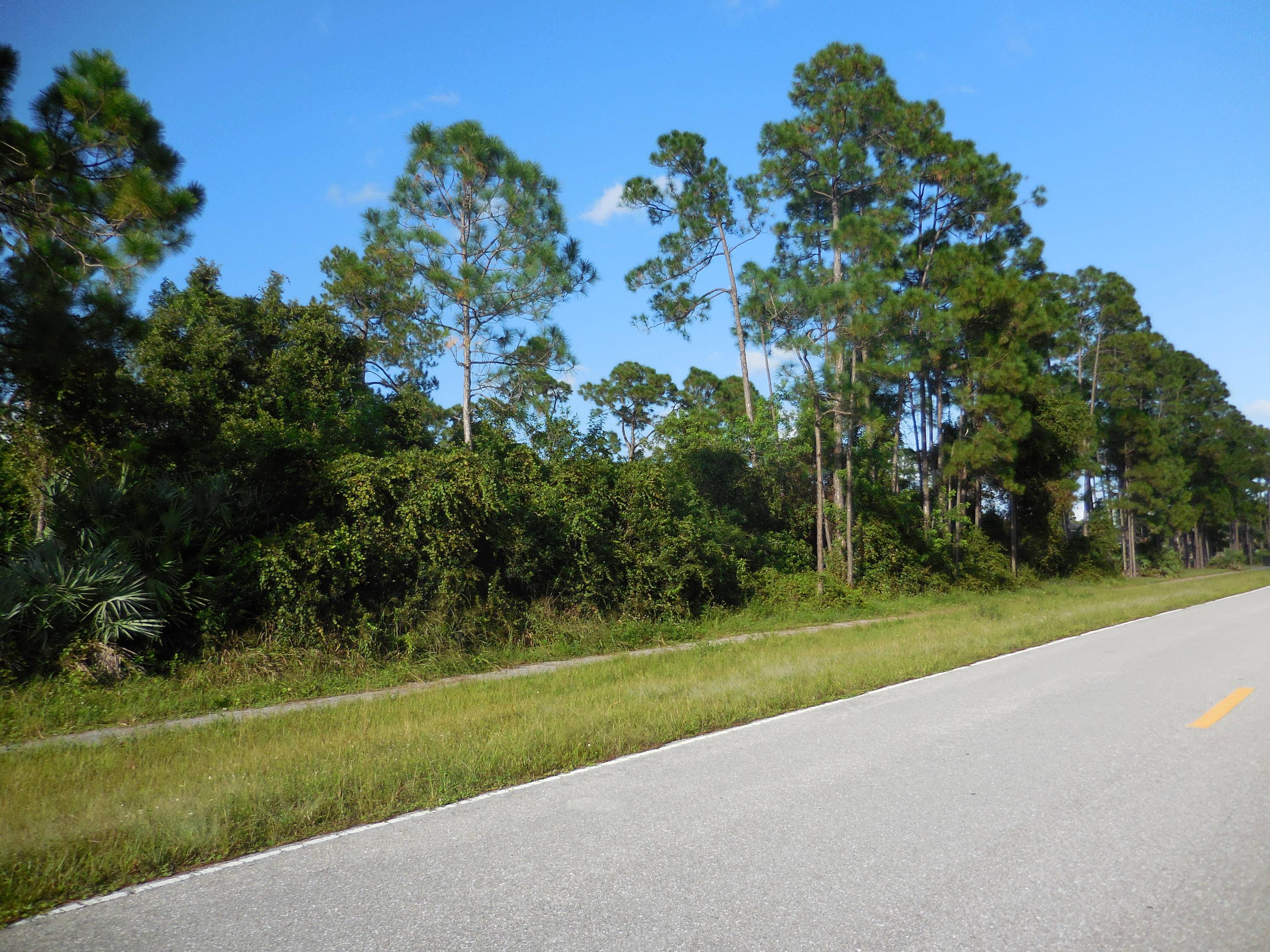 High and Dry Land on 1. 60 Acres on Paved Temple Blvd, Close to Schools and Shopping, NO HOA, Build Your Dream Home