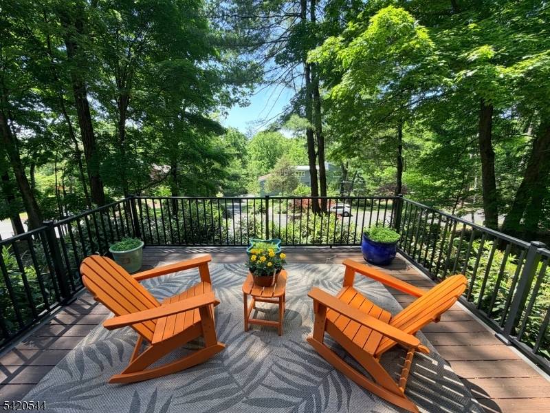 Seeking a guest or in law suite ?