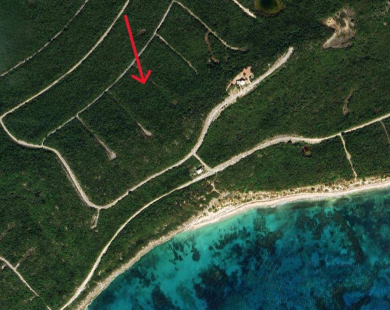 COLUMBUS LANDINGS Land San-Salvador