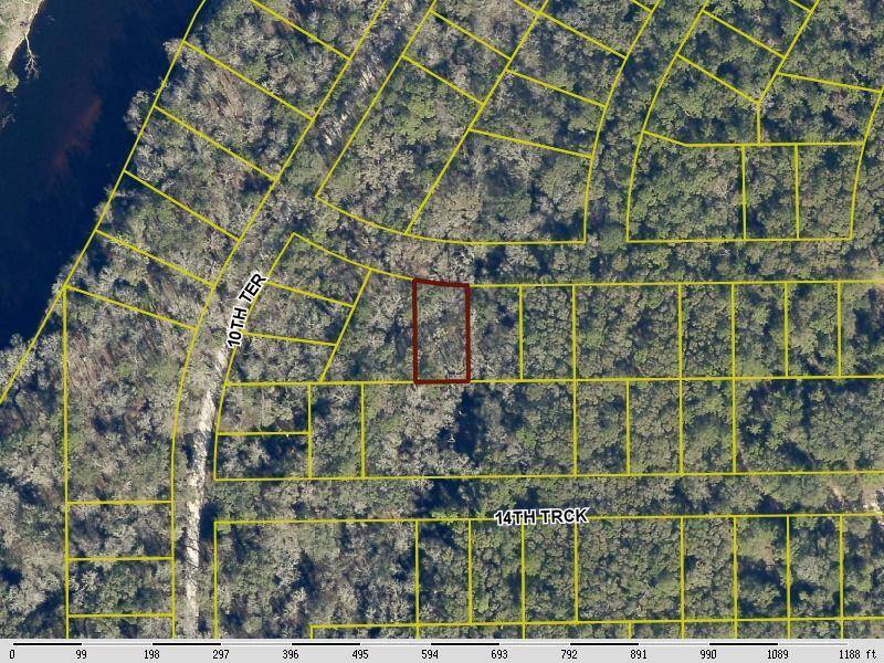 Opportunity to purchase agricultural land in Suwannee County.