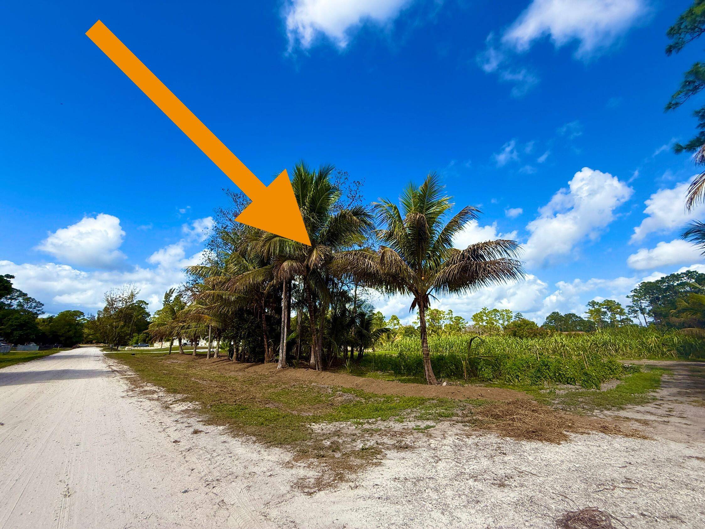 PRICED RIGHT ! ! ! PAVED ROAD !