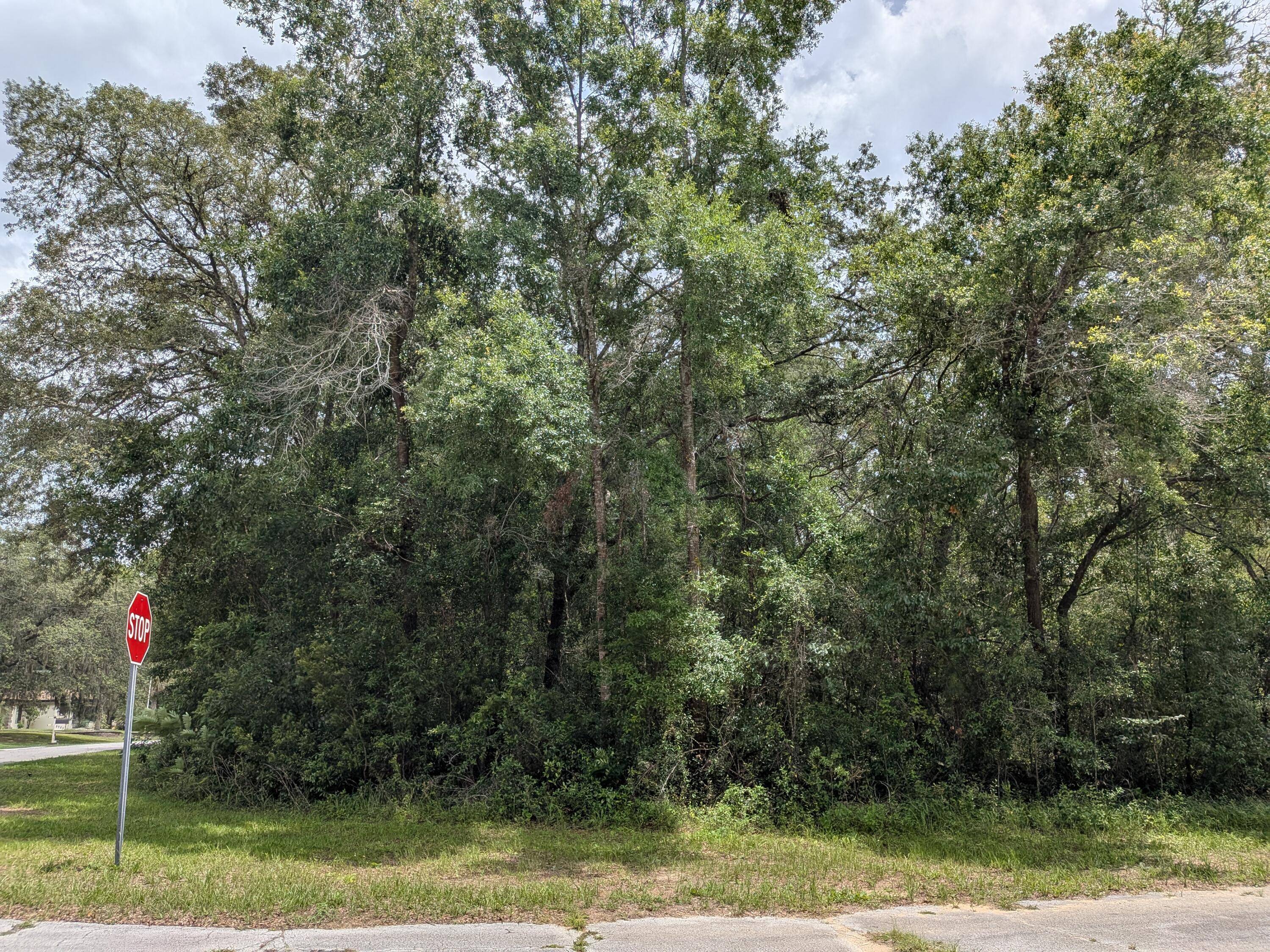 Build your dream home on this spacious 0.