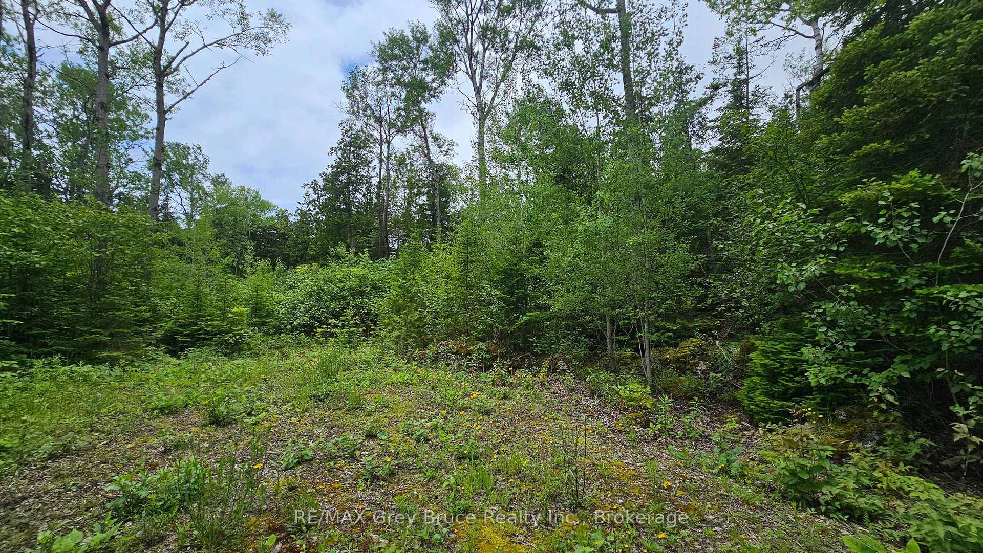 Check out this nice building lot in Hardwick Cove.