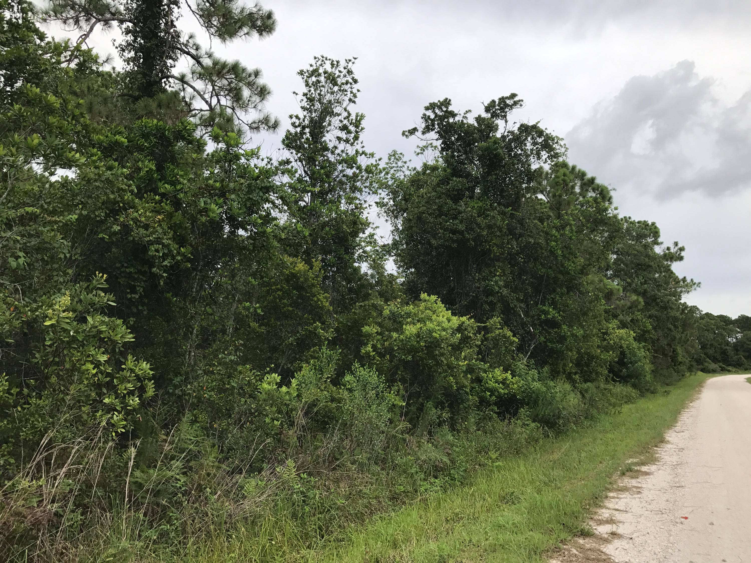 Build your dream home in Lake Placid Florida !