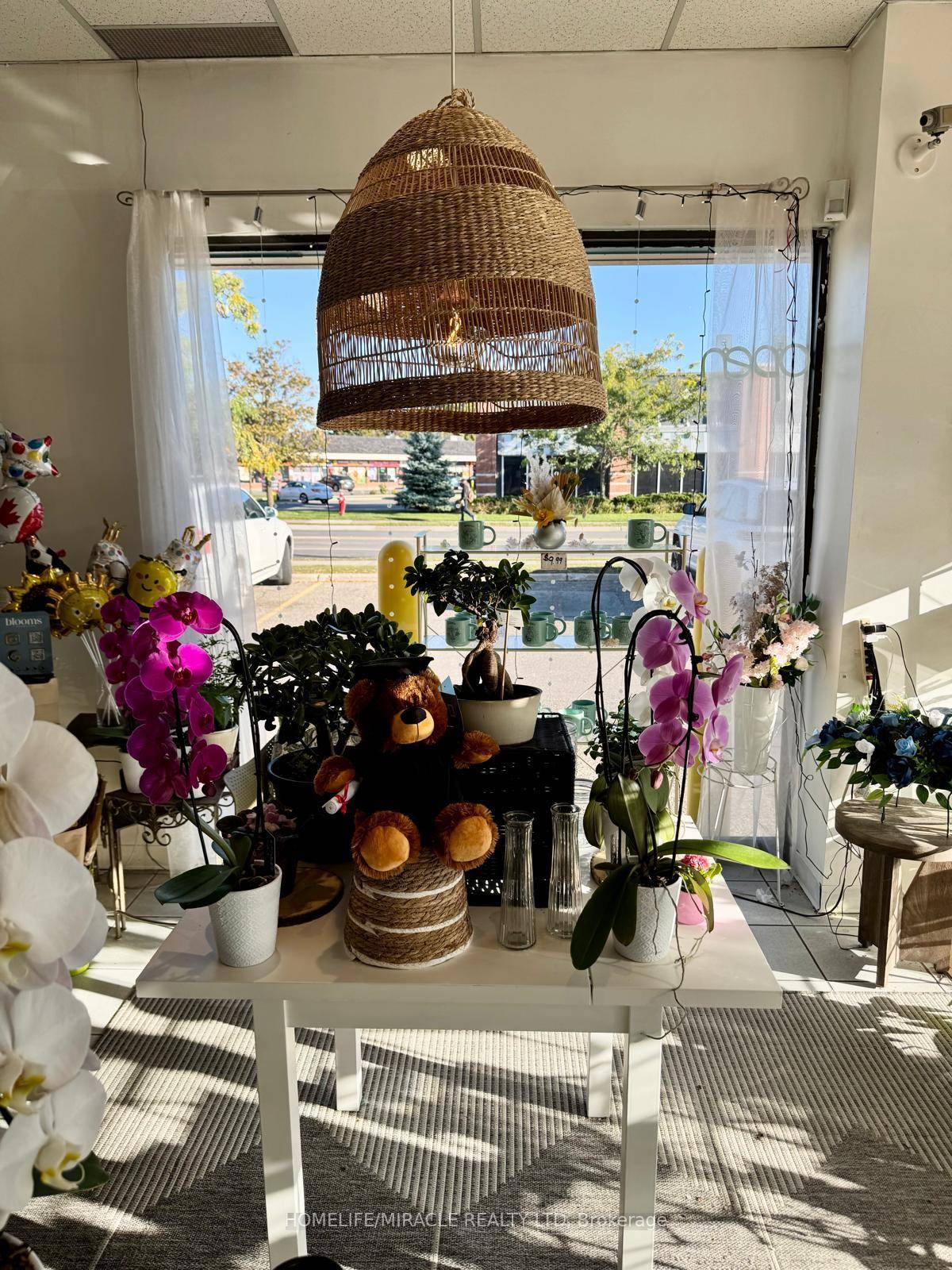 A rare opportunity to own a well established and highly reputable flower boutique in the heart of Brampton is now available.