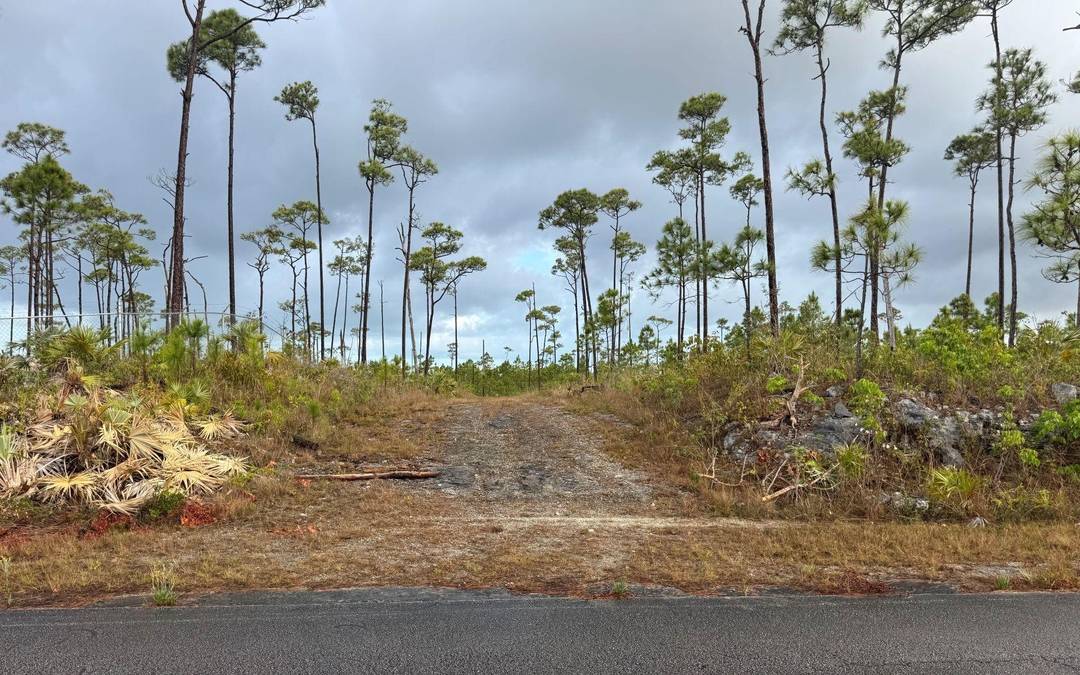 CHESAPEAKE LOT 24 Land Grand-Bahama-Freeport