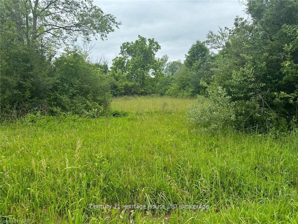 Discover the potential of this exceptional land parcel located on Rosehill Road in Fort Erie, Ontario.