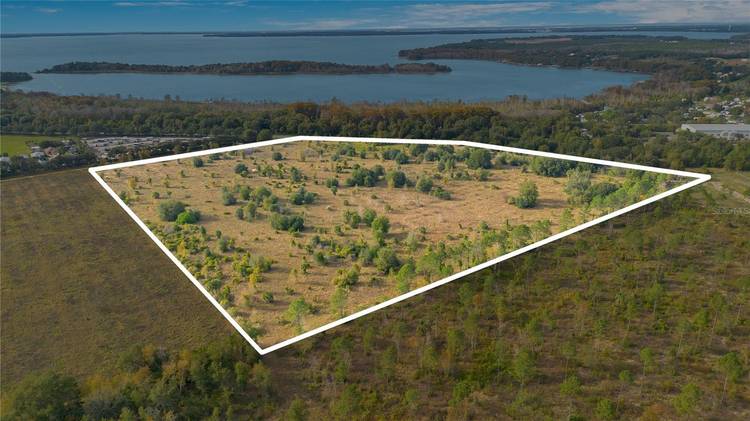 RARE opportunity to own just over 35 acres HIGH and DRY right on SR 19 !