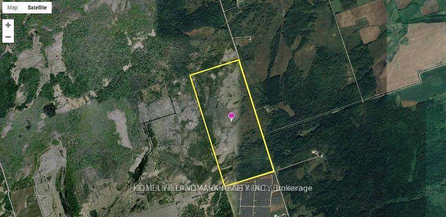 Power Sale and Power Sale.