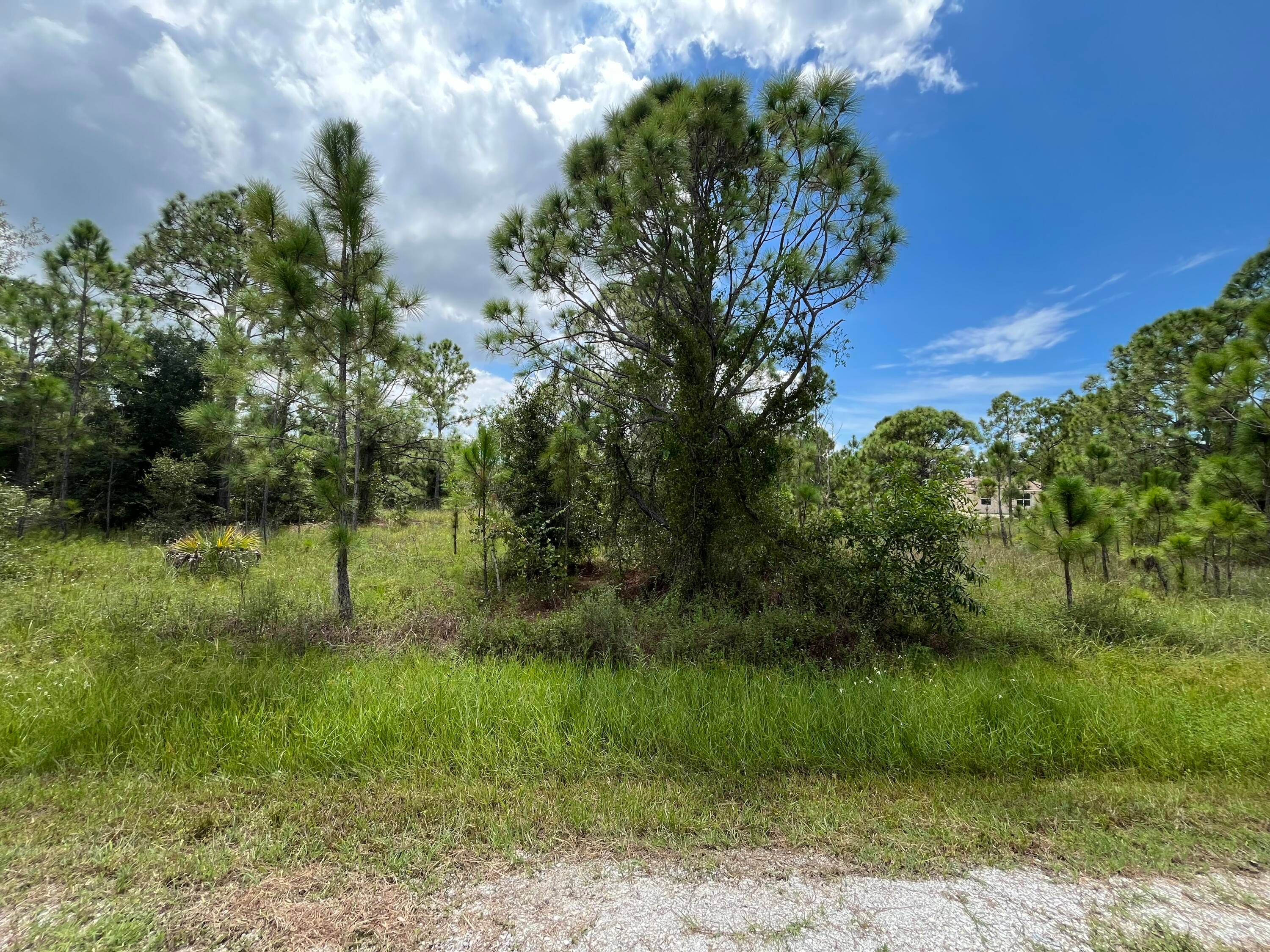 Must see ! ! Beautiful vacant land waiting for you to build your dream home.
