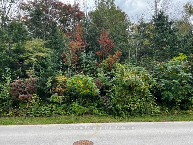 The shoreline of Lake Huron is only 480 feet away from this rare property.