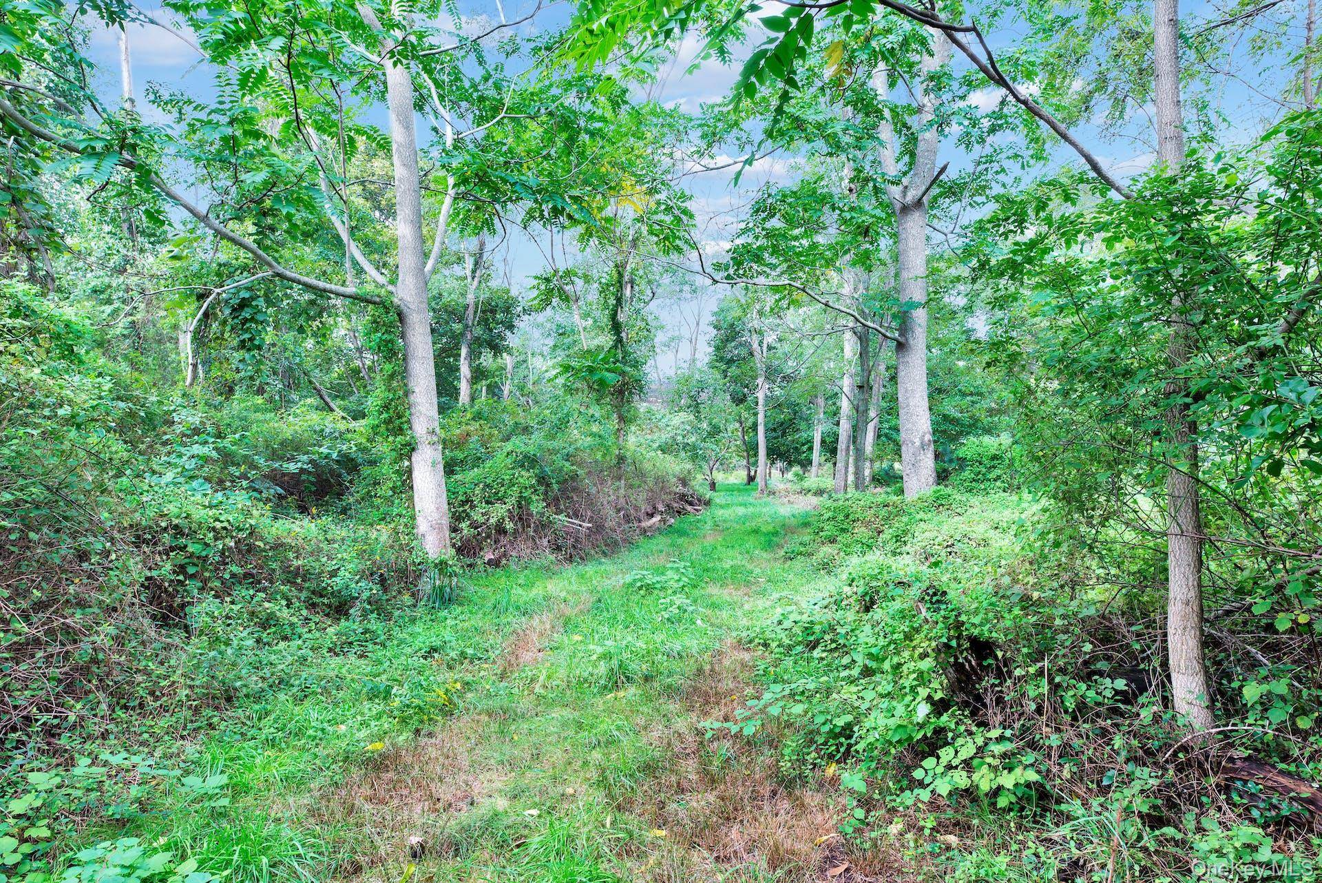 This stunning land comprised of 6.