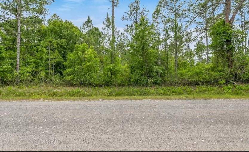Experience country living in Flagler Estates.