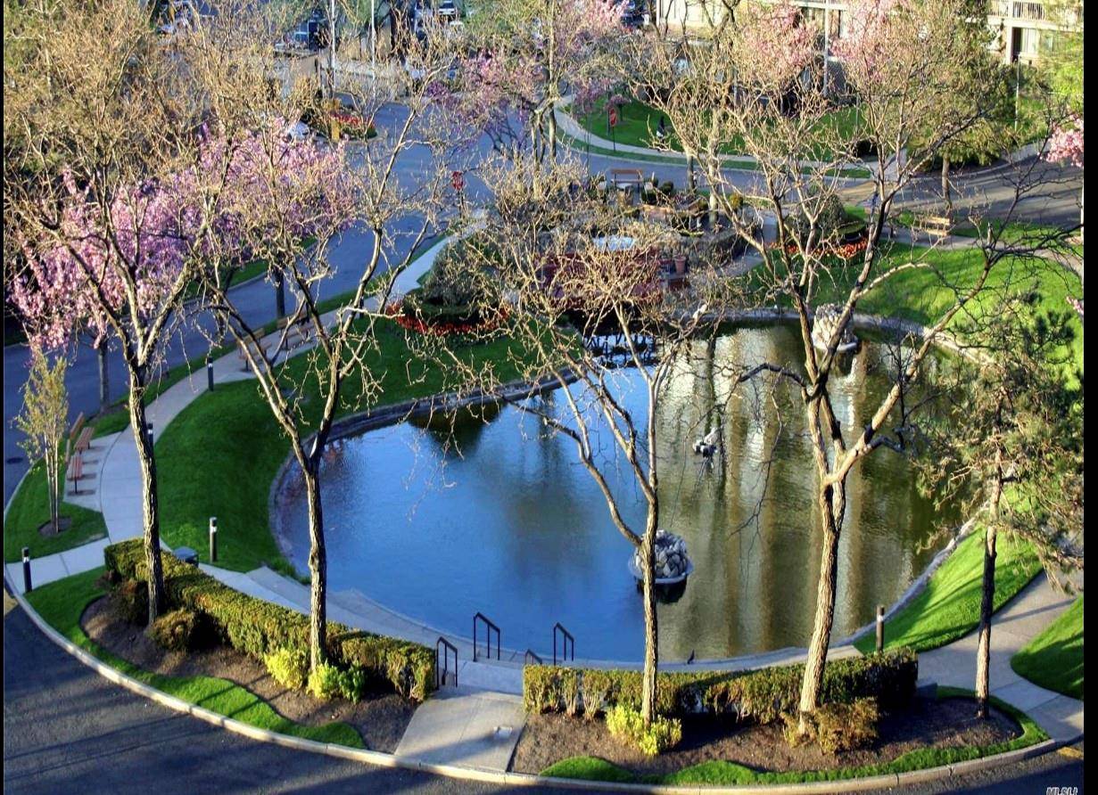 BEAUTIFUL 1 BED 1 BATH CONDO, NEW BATH, NEW FLOORING THROUGHOUT.
