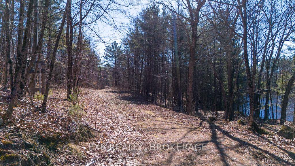 Private 11 Acres in Wilderness Estates.