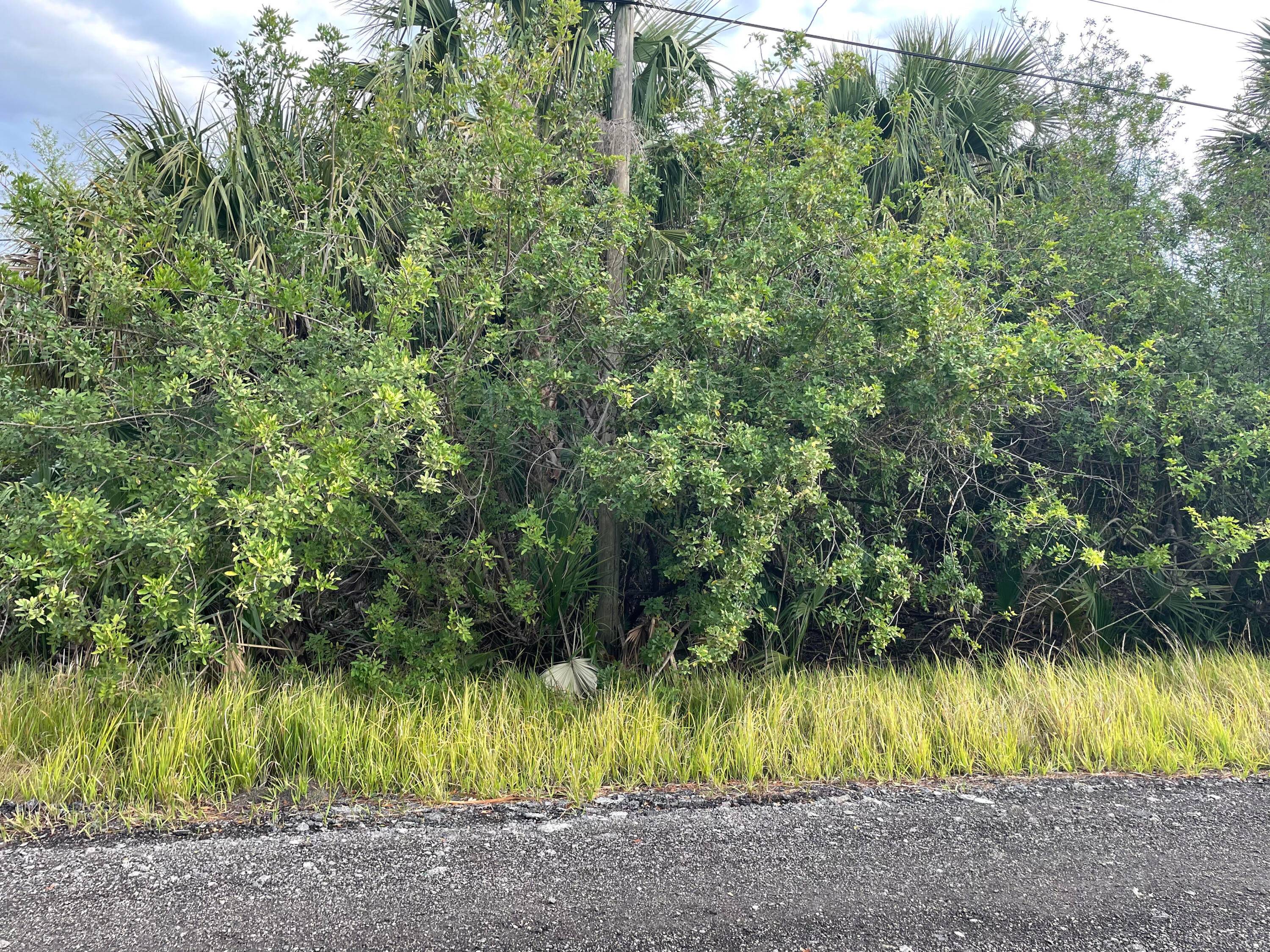 This. 23 acre lot zoned RS2, is residential, single family.