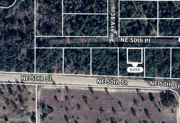 Escape to tranquility with this beautiful, secluded lot in Williston, FL.