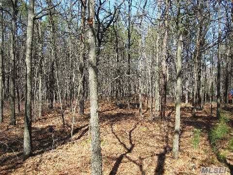Lots on paper street Unpaved road 3 others available too