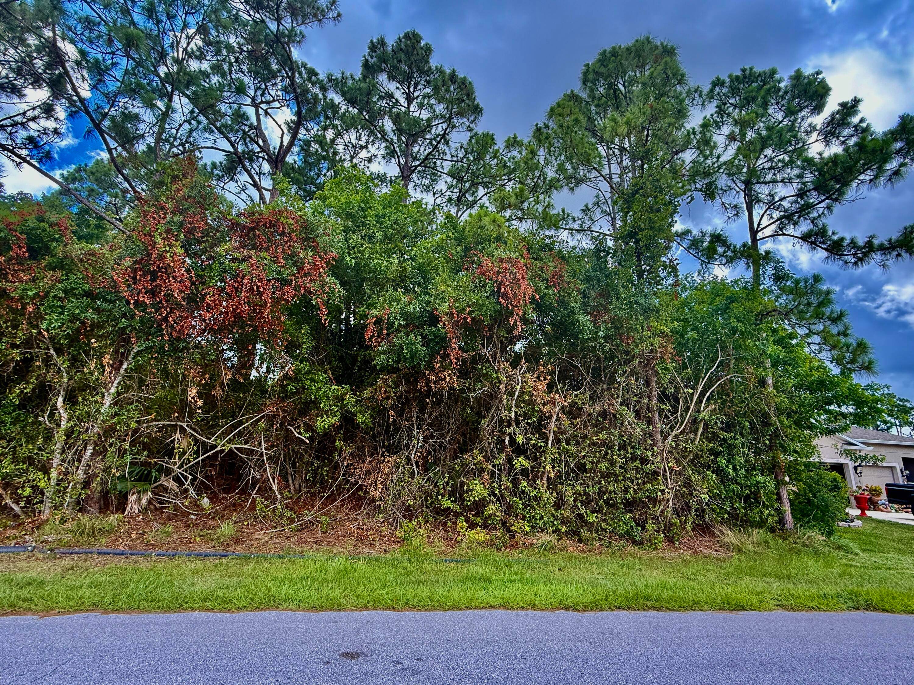 Aerials Coming Soon ! Prime Vacant Land in Desirable Port St.