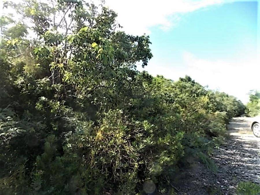 STELLA MARIS LOT Land Long-Island-Bahamas