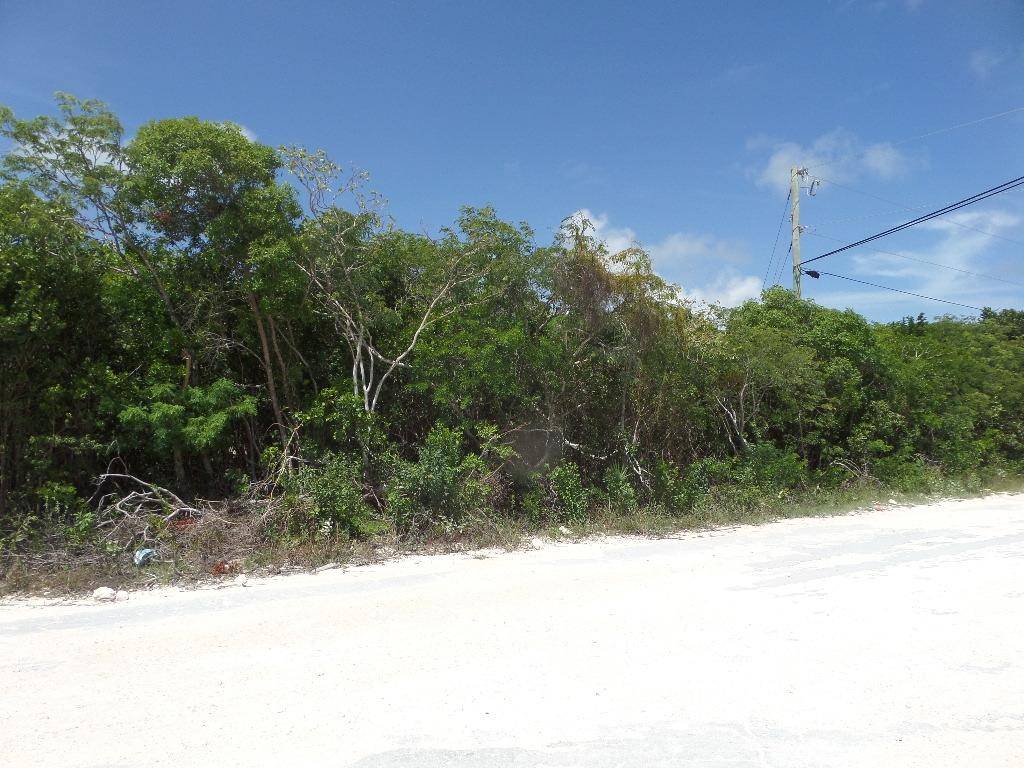 LOT# 564. STELLA MARIS Land Long-Island-Bahamas