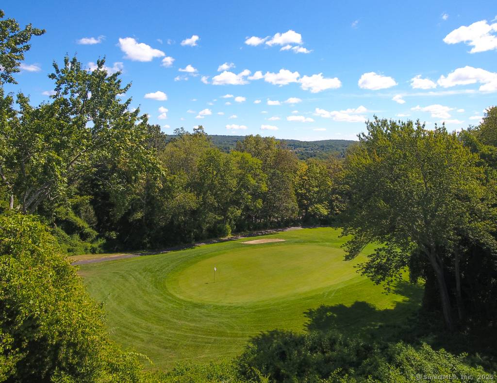 Incredible, unique opportunity at 55 Heritage Village !