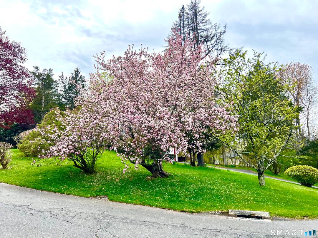 Lovely L shaped ranch in a highly desirable neighborhood featuring a master addition ensuite with a spacious bedroom, vaulted ceilings, walk in closet with pocket door, full bath with jacuzzi ...