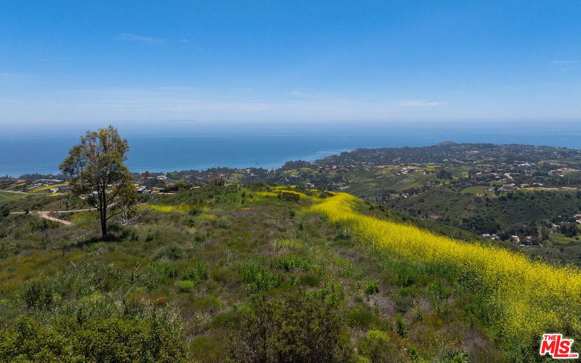 1   Murphy Way Malibu La
