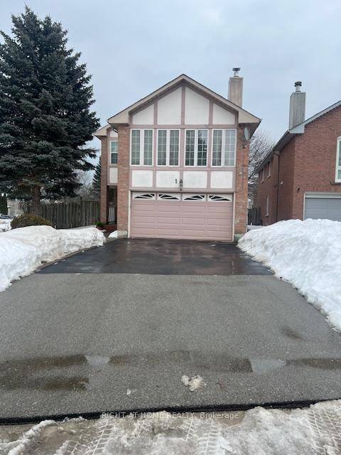 Very Well maintained, Clean and Cozy Basement Apartment w Separate Entrance.