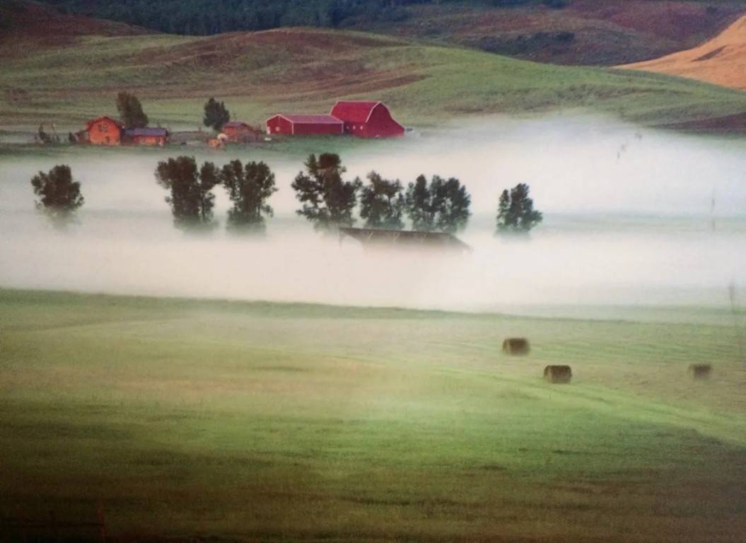 Picturesque 250 acre ranch in the heart of the Elk River Valley in Steamboat Springs.