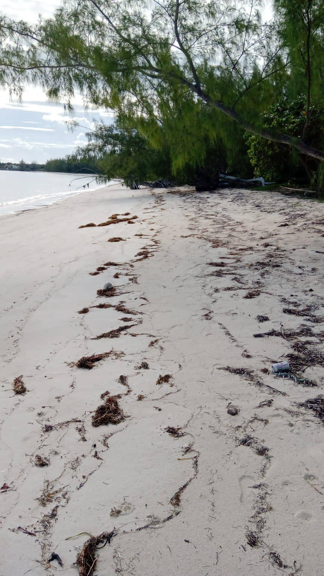 SMALL HOPE BAY Land Andros