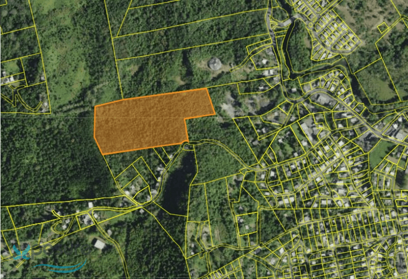 CARR 954 Land Canovanas