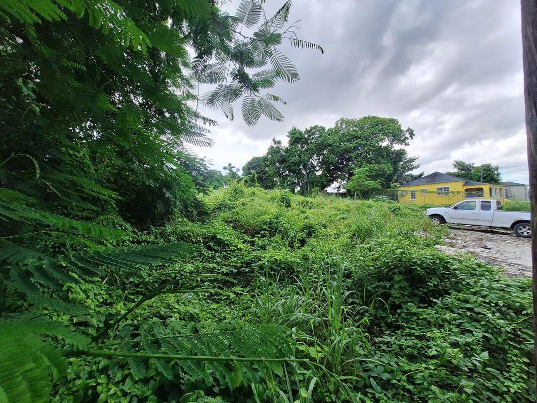 KEMP ROAD 1/2 ACRE LOT Land New-Providence