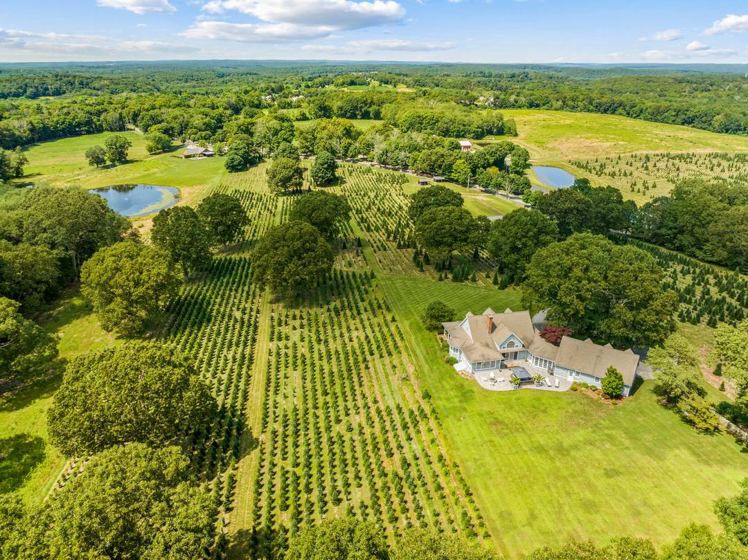 Maple Lane Farms is a unique, one of a kind, property and potential business opportunity consisting of approximately 225 contiguous acres with approximately 114 acres located in the town of ...