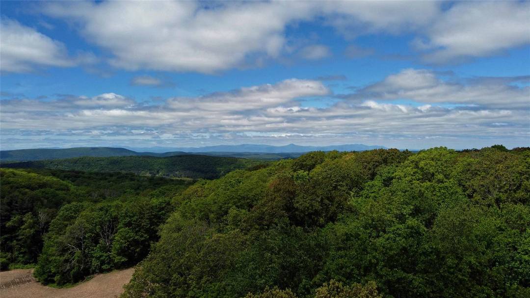 Sensational vistas of the stunning and unspoiled countryside extending to the Taconic's to the East and from a hidden knoll with an elevation of 1, 250' there is a magnificent ...