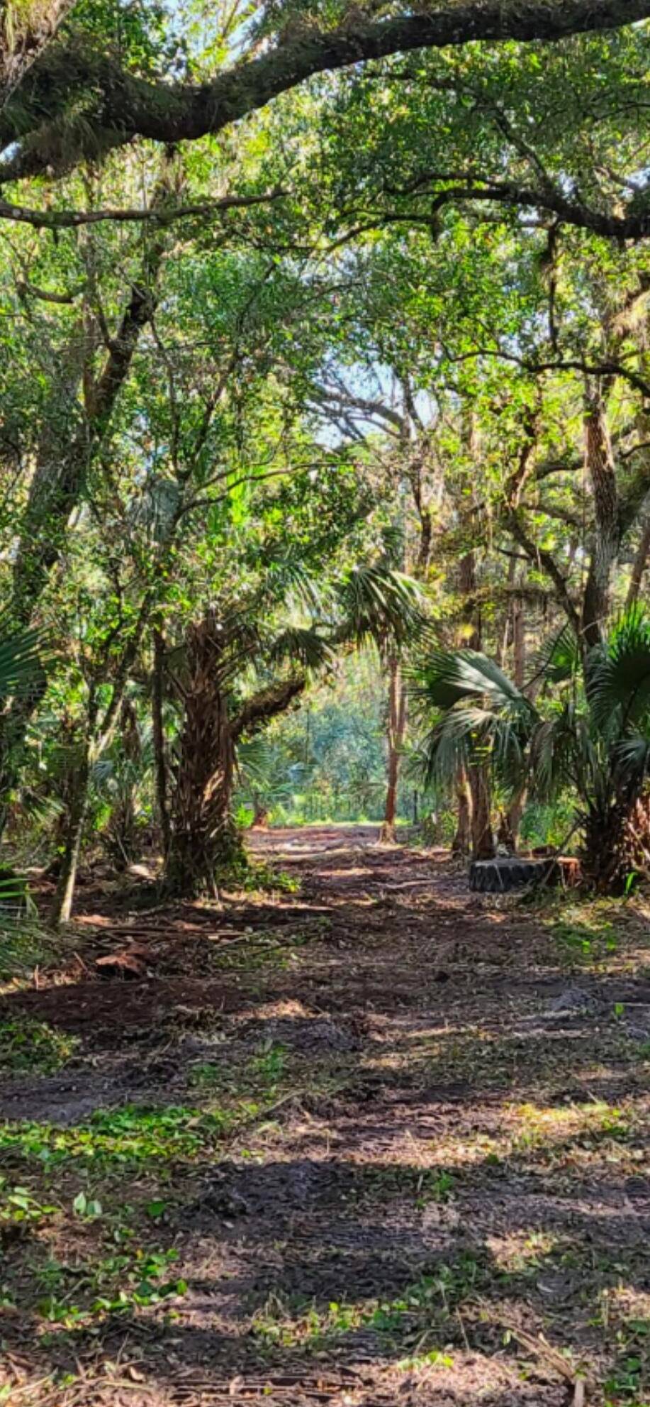 Viking Prairie 1. 2 Acre beautiful lot high and dry in the front desired area.