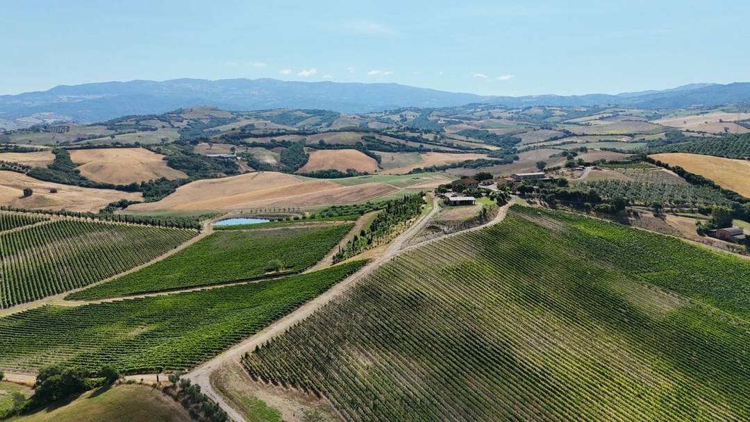Tuscan farm with 41 hectares of land, a restored farmhouse, a house under construction and a tool shed for sale in Campagnatico, Maremma.