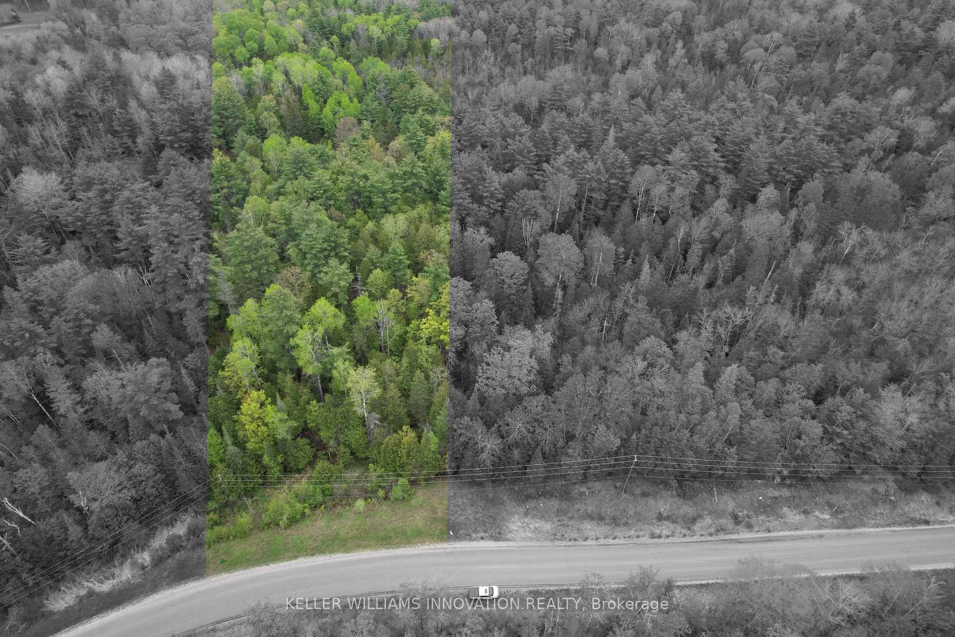 Escape to your private sanctuary in the heart of Lanark Highlands !