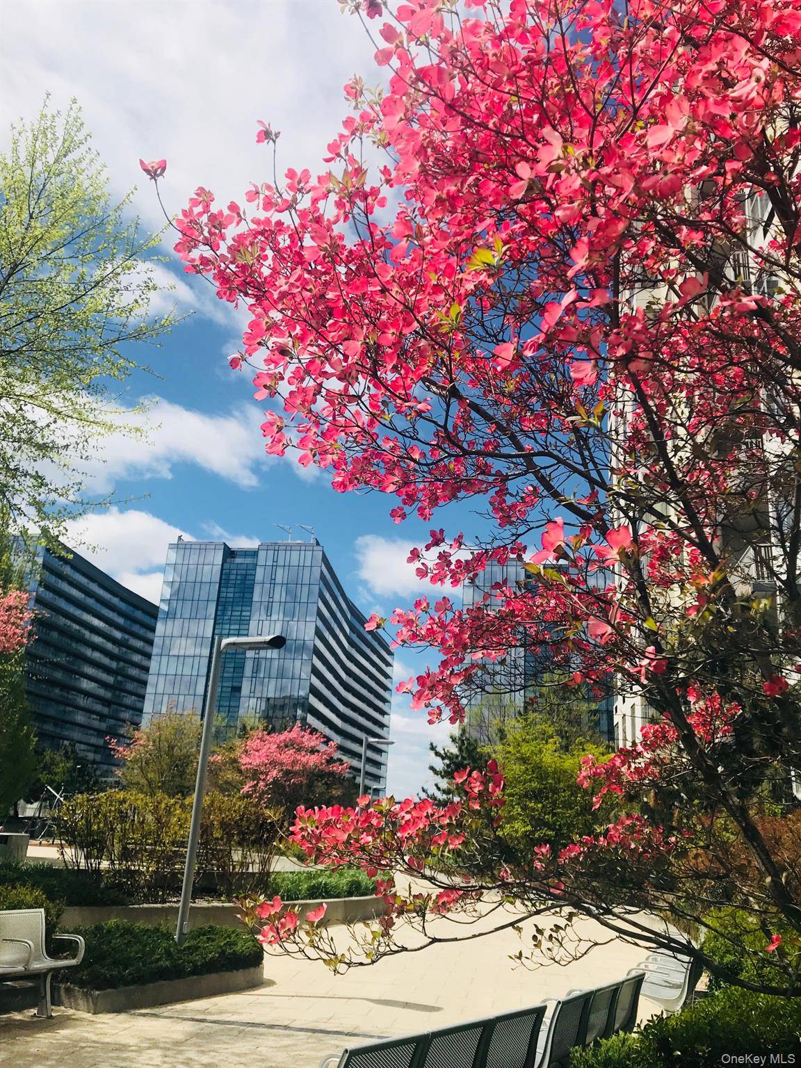 New Luxury Condo Building Rare crowned jewel of 2Bed 2 Bath At The Prestigious SKYVIEW PARC now for sale The apartment Best layout, with each bedroom and bath on opposite ...