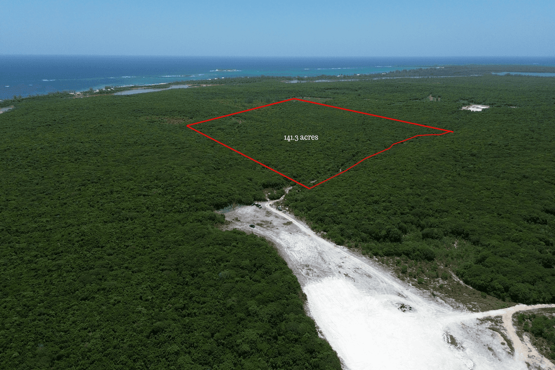 141.3 ACRES BURNS POND Land Eleuthera