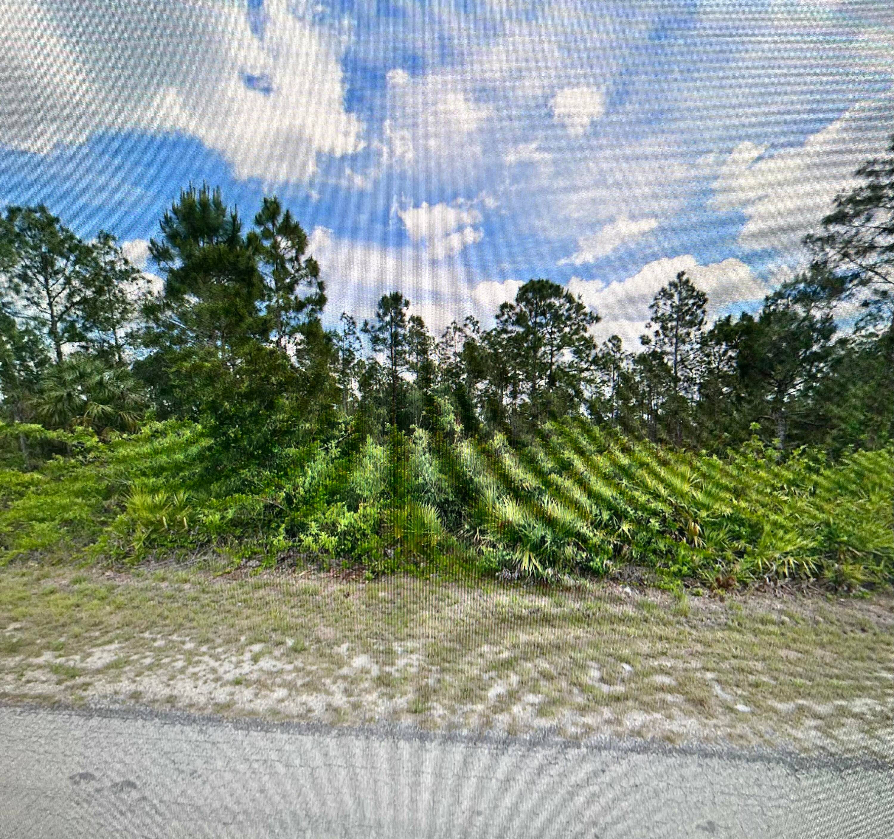Discover the perfect spot for your dream home or investment venture on this spacious.