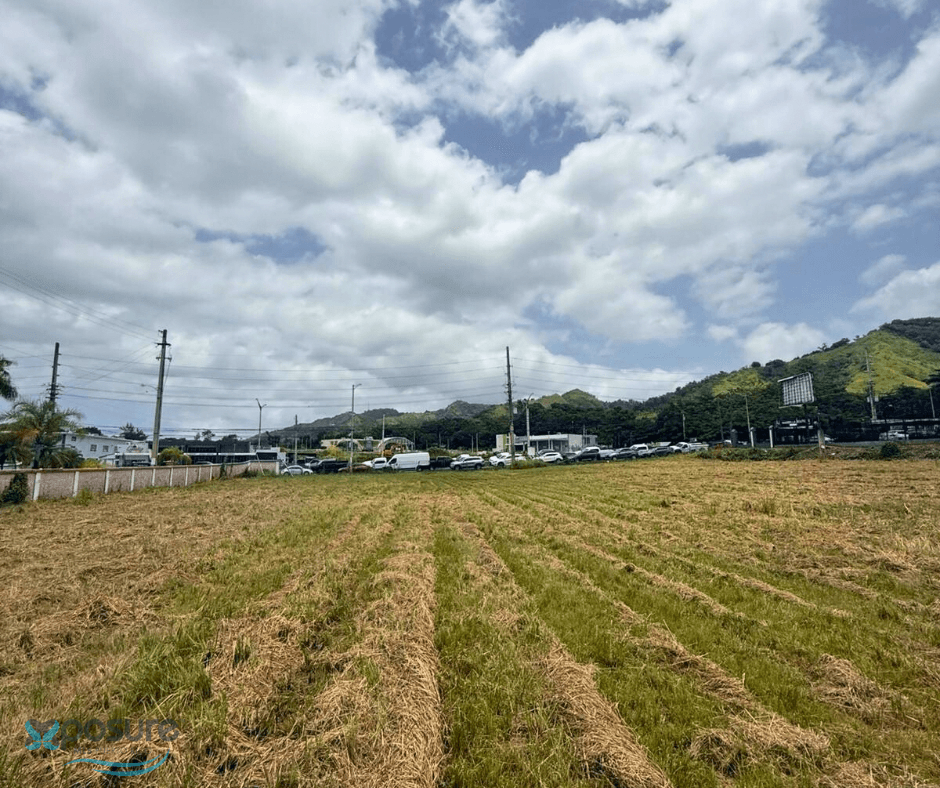 SOLAR 1.27 CUERDAS, FRENTE A CARR. #2 Land Anasco
